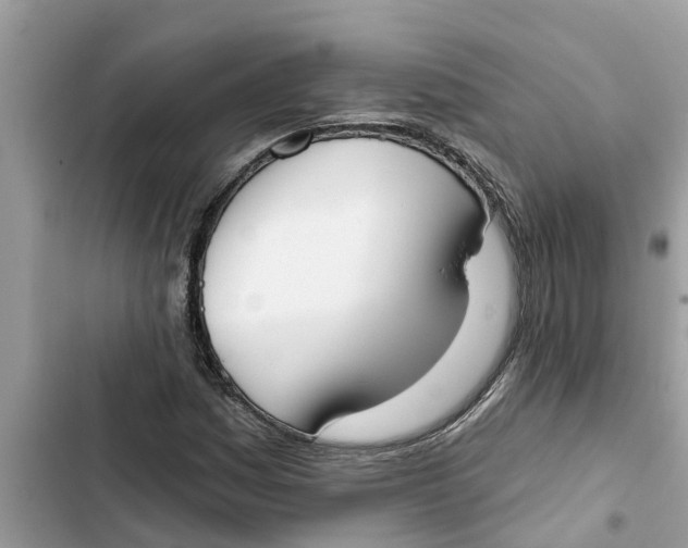 X0000103261161200809191712