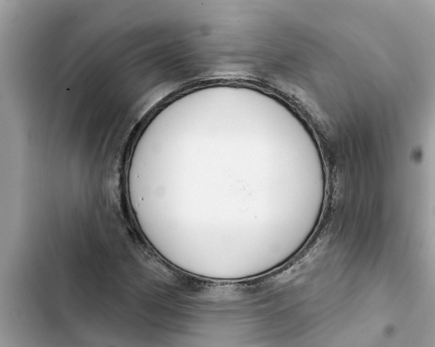 X0000103261162200809191712