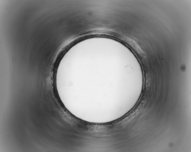 X0000103261164200809191712