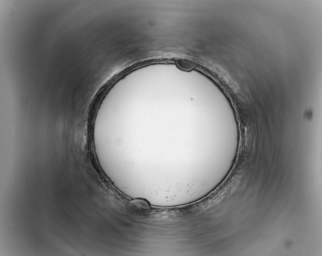 X0000103261165200809191712