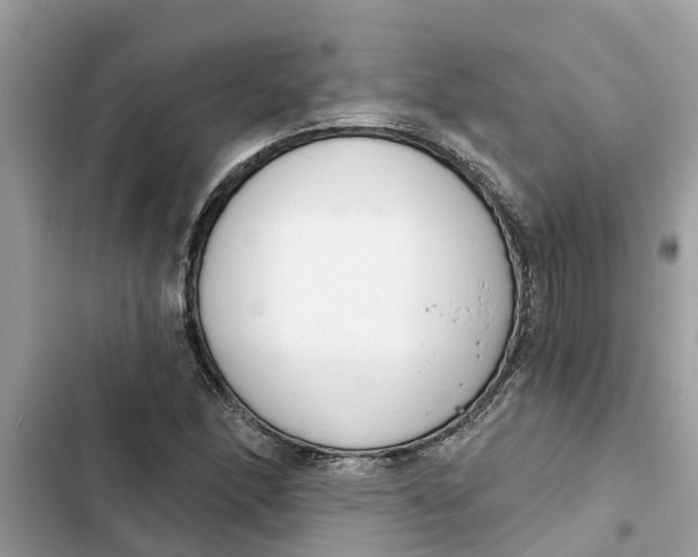 X0000103261166200809191712