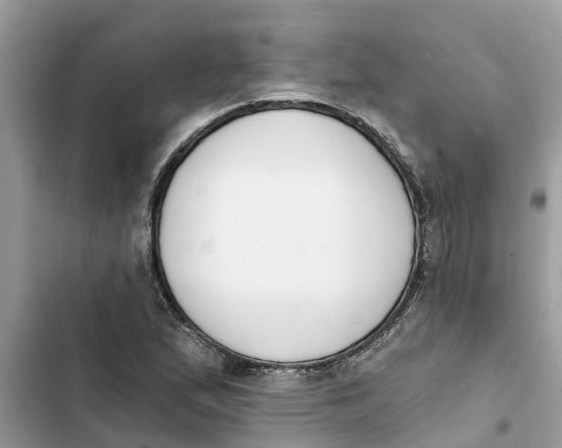 X0000103261167200809191711