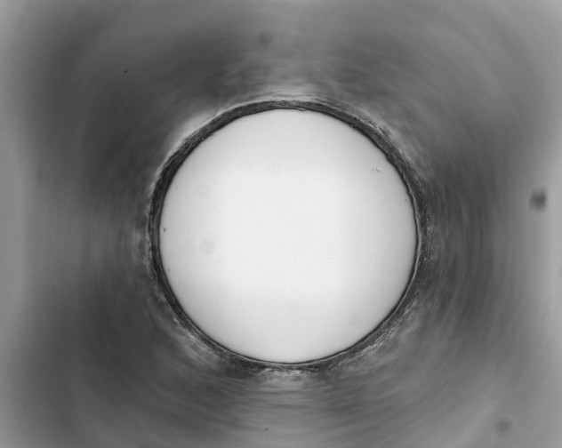 X0000103261168200809191711