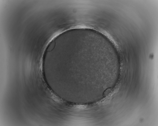 X0000103261173200809191711