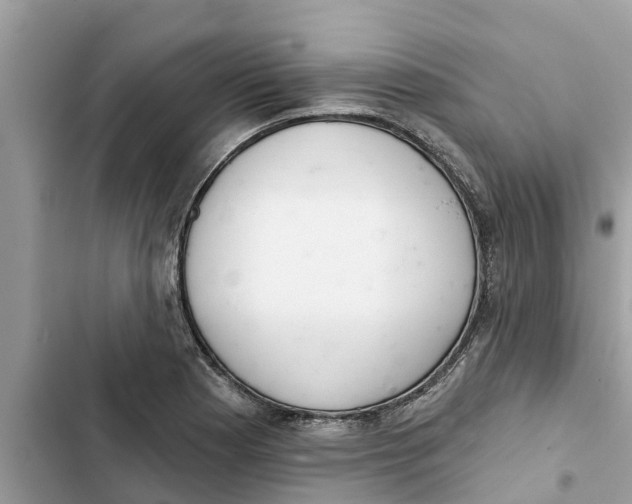 X0000103261177200809191711