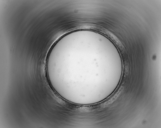 X0000103261178200809191711