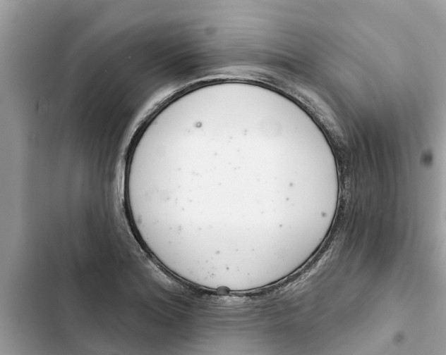 X0000103261180200809191711