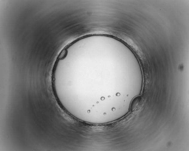 X0000103261181200809191711