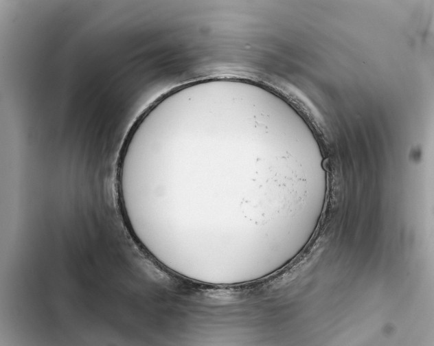 X0000103261182200809191711