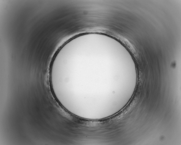 X0000103261184200809191711