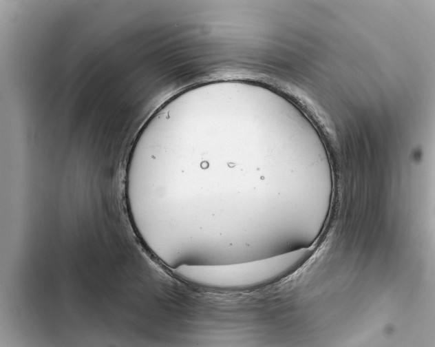 X0000103261185200809191711