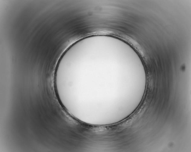 X0000103261186200809191711