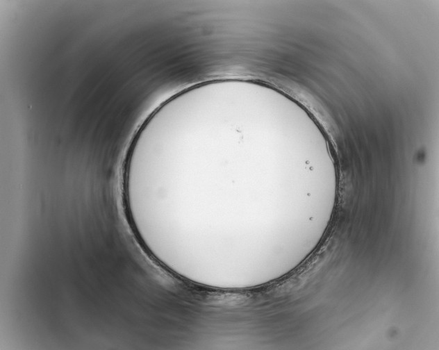 X0000103261187200809191711