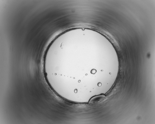 X0000103261188200809191711