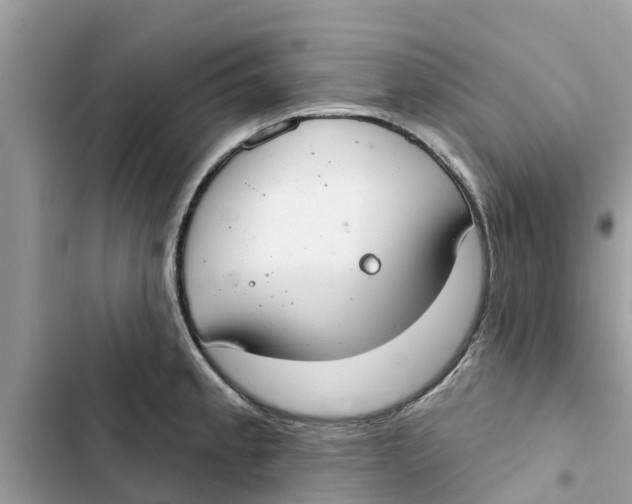 X0000103261189200809191711