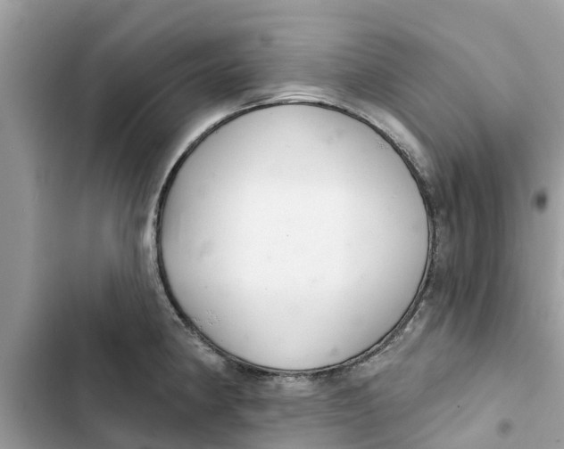 X0000103261190200809191711