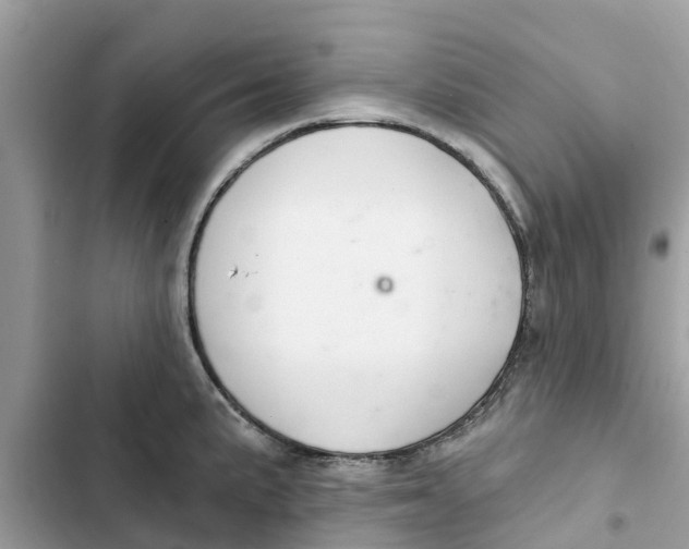 X0000103261191200809191711