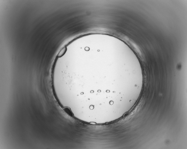 X0000103261192200809191711