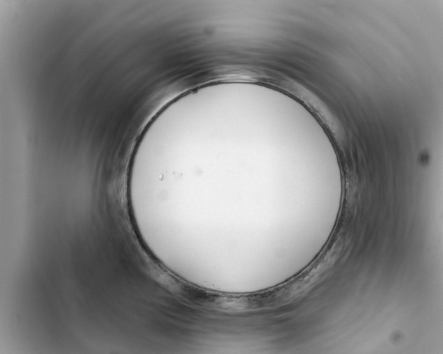 X0000103261194200809191711