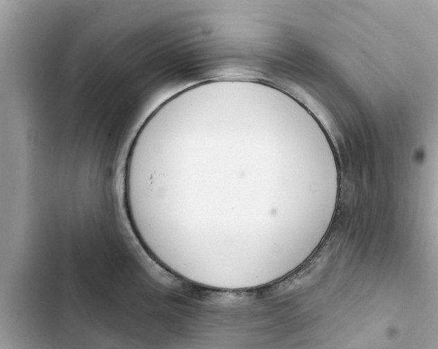 X0000103261195200809191711