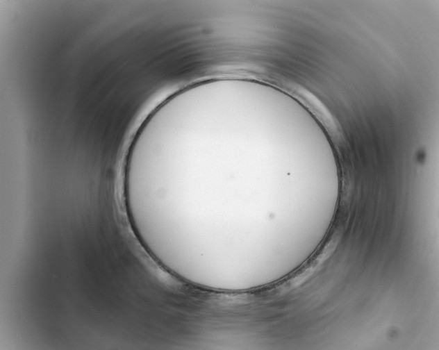 X0000103261196200809191711