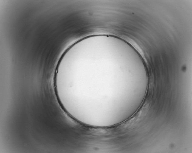 X0000103261197200809191711