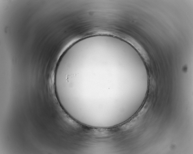 X0000103261198200809191711