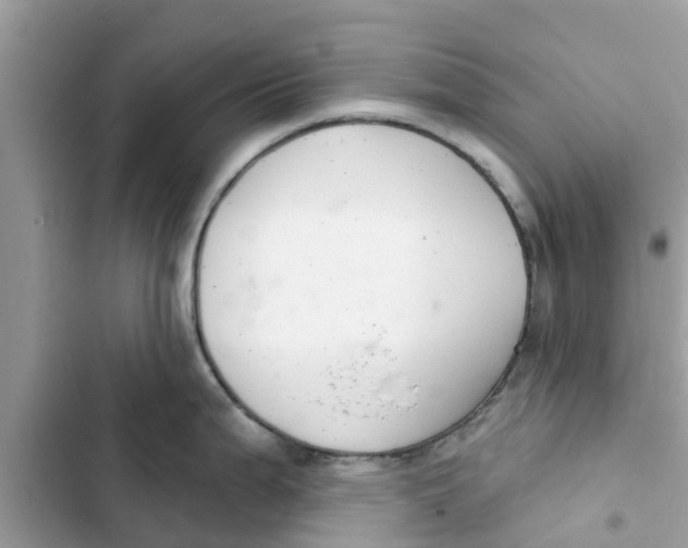 X0000103261199200809191711