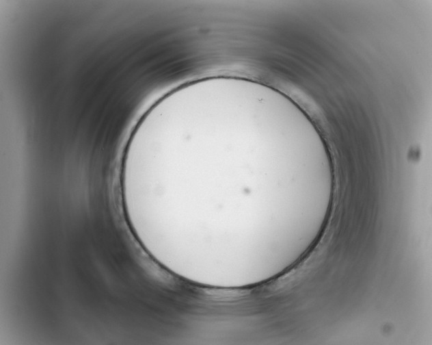 X0000103261200200809191711