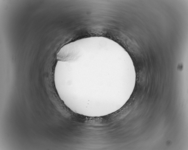 X0000103261201200809191710