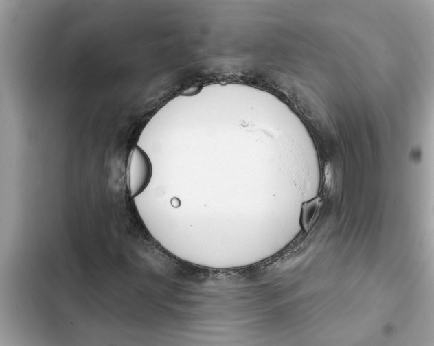 X0000103261203200809191710