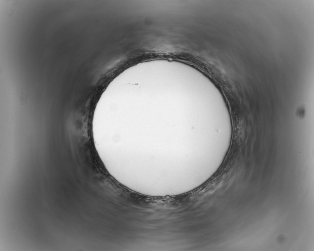 X0000103261205200809191710