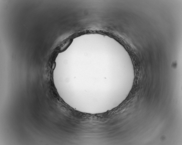 X0000103261207200809191710