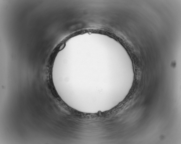 X0000103261208200809191710