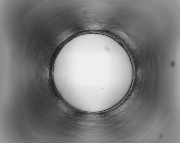 X0000103261209200809191710