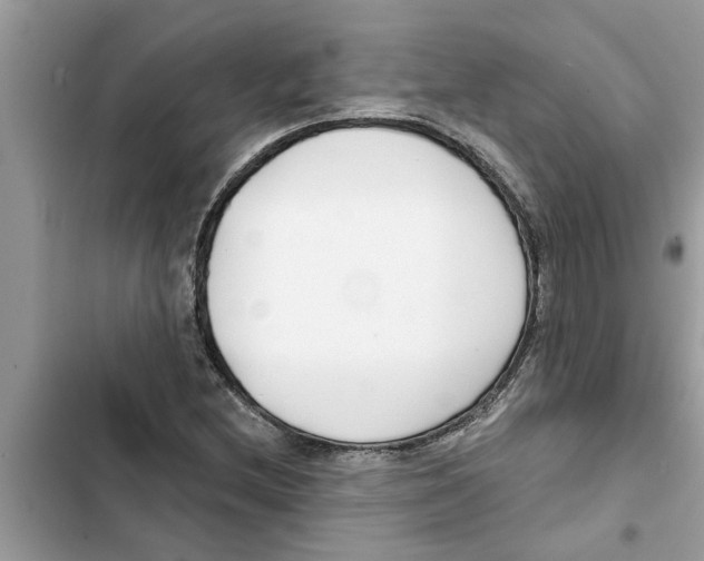 X0000103261212200809191710