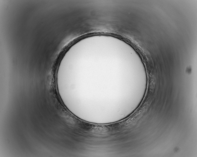 X0000103261215200809191710