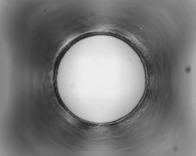 X0000103261216200809191710