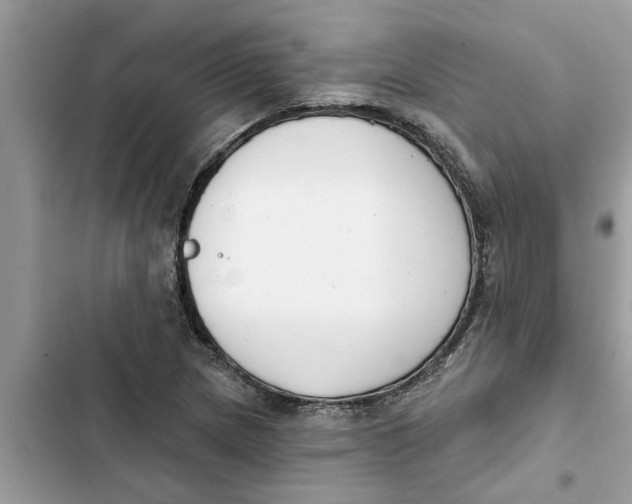 X0000103261217200809191710