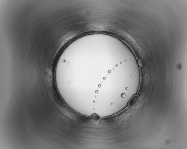 X0000103261218200809191710