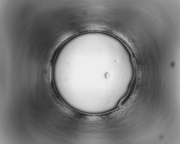 X0000103261219200809191710