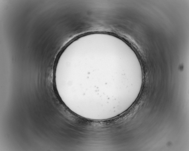 X0000103261220200809191710