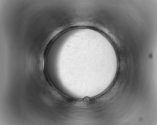 X0000103261221200809191710