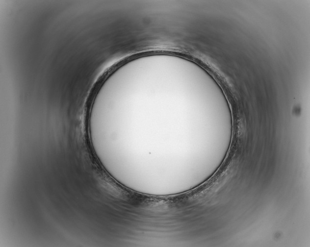 X0000103261222200809191710