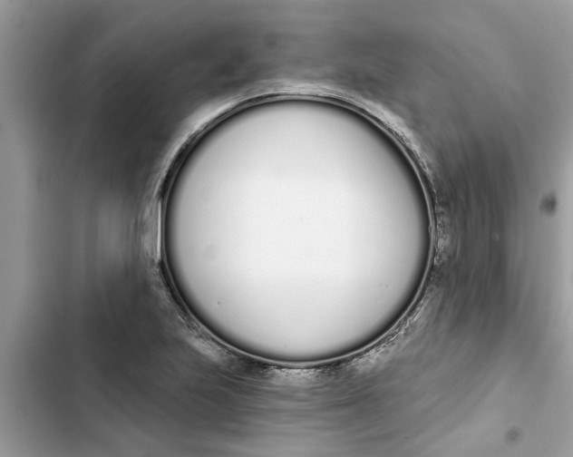 X0000103261223200809191711