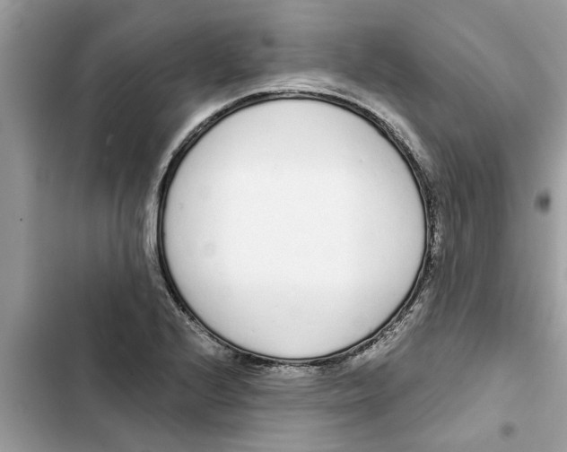 X0000103261224200809191711