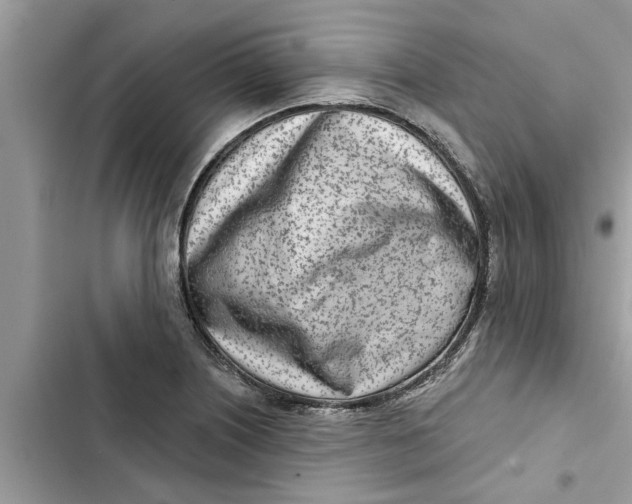 X0000103261226200809191711