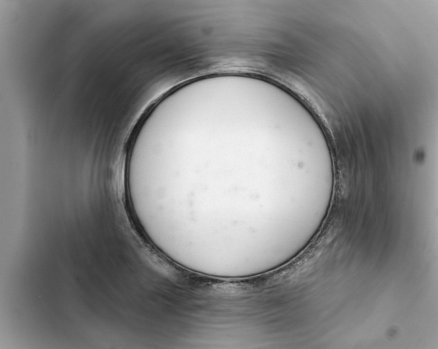 X0000103261227200809191711