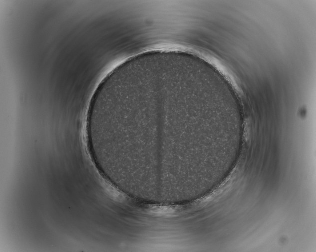 X0000103261229200809191711