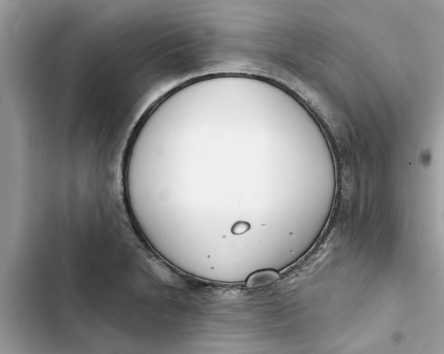 X0000103261230200809191711